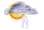 W14