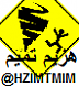   HZIM TMIM